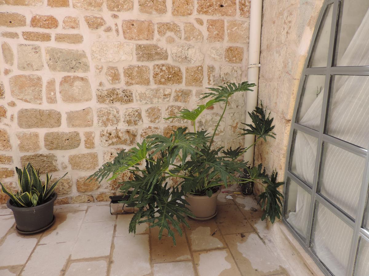 The Sultan House Βίλα Άκρα Εξωτερικό φωτογραφία